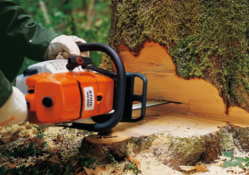 Бензопилы Stihl помогут облегчить процесс зачистки лесных насаждений