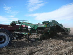 Производство картофеля: американский опыт для России и стран СНГ