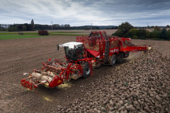 REXOR GRIMME
